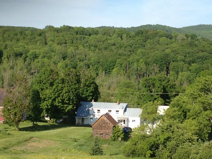 Home in Washington from our hill.